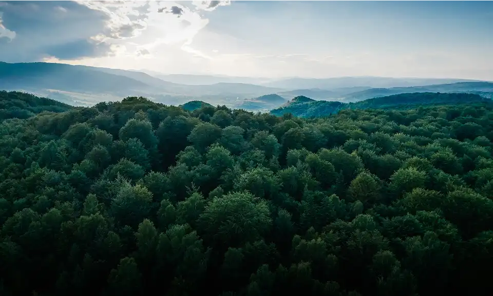 Accurate emissions tracking