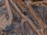How do rising diesel prices affect mining company earnings?