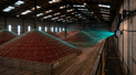 VERIDAPT to Showcase Real-Time Bulk Inventory Monitoring at Argus Fertilizer Europe Conference